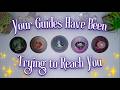 Your Guides Have Been Screaming This, But You’re Not Hearing It 🔇👼 Pick a Card Tarot Reading