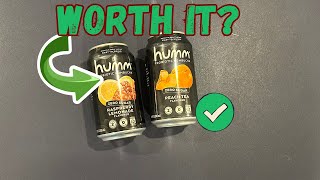 Honest Humm Probiotic Kombucha Review: Zero Sugar & Keto Friendly