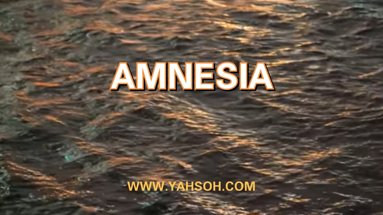 "Amnesia" | Emotional World Beat | 2019 New World Dancehall Instrumental Music