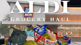 ALDI GROCERY HAUL WITH PRICES by Kita Scott 109 views 1 day ago 12 minutes, 36 seconds