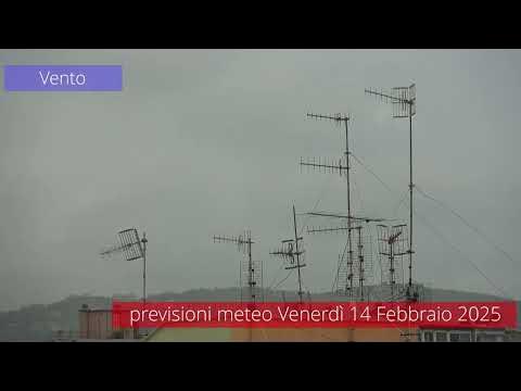 Meteo 14 Febbraio 2025 YouTube