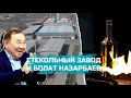 Покушение на Токаева, Казахстан не признает ДНР и ЛНР, Болат Назарбаев и захват завода