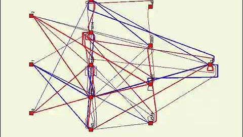 Evolution of a Neural Network