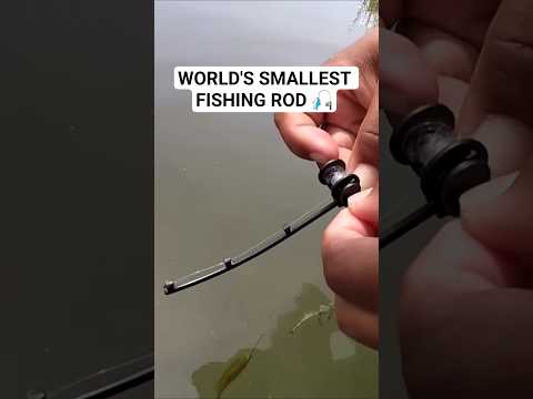 أصغر صنارة صيد في العالم صيد 