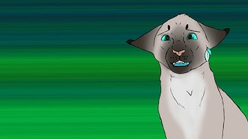 WIP Thunder MAP Part 18 & 19