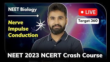 🔥Nerve Impulse Conduction | NCERT | Neural Control and Coordination | AC sir | Live | NEET 2023