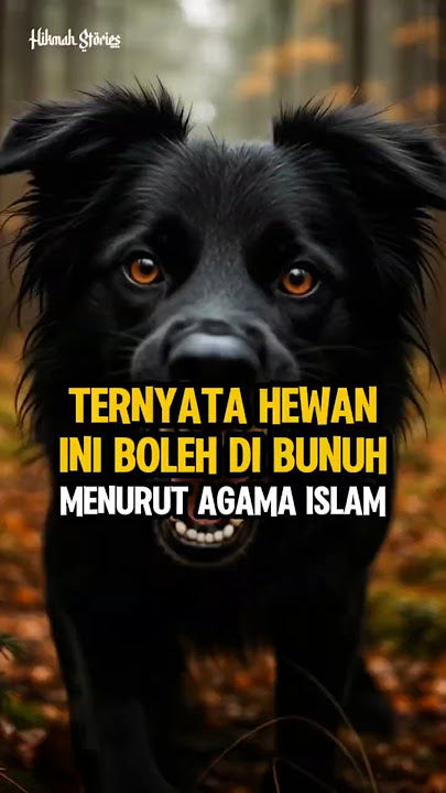 It turns out that this animal is permissible to kill according to Islam #inspirationalstory #Isla...