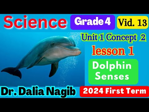 ساينس رابعه ابتدائي المنهج الجديد 2024 Science Grade 4 Dolphin Senses Concept 2 Lesson 1 ساينس رابعه ابتدائي المنهج الجديد 2024 Science Grade 4 Dolphin Senses Concept 2 Lesson 1