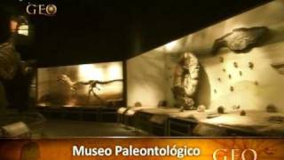 Trelew Museo Antropologico - Geo viajes &amp; aventura 38