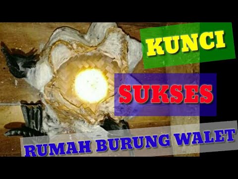 kunci-sukses-rbw-|-petani-walet-harus-nonton
