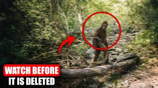 BIGFOOT SIGHTINGS MEGA COMPILATION- 1 Hours Of CHILLING Hunter & Hiker Final Footage