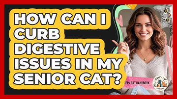 How Can I Curb Digestive Issues In My Senior Cat? - Happy Cat Handbook