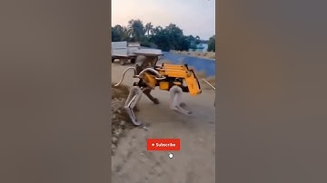 Tractor loader Leggy Run #automobile_#automotiveedit_#aivfx#ai#aivideo#shortvideo #aiedits#jcb#bus