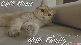 [Chillout with kittens] Boy band ｜Chill Music, Background, Work, Sleep, Meditation by Mihu family Take a break 178 views 5 months ago 16 minutes