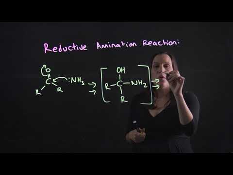 Reductive Amination Reaction mechanism - Simple