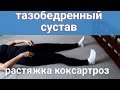 ГИМНАСТИКА РАСТЯЖКА  ТАЗОБЕДРЕННЫХ СУСТАВОВ