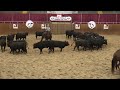 Ncha educational series herd work