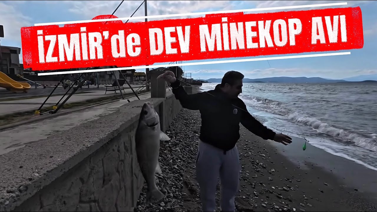 2025 YILI İZMİR MİNEKOP AVI ( KOPMAYAN DÜĞÜM ANLATIMI ) İZMİR BALIK AVI 