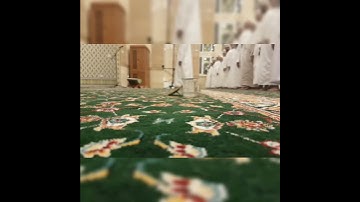 سورة القدر - محمد الجديدي