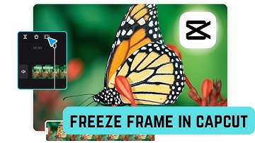 How To Freeze Frame in CapCut | Step-by-Step Guide to Creating Freeze Frame Effect | CapCut Tutorial