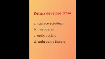 Retina develop from... Ophthalmology and Optometry multiple Choice Questions