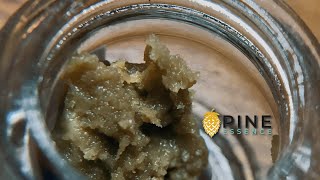 Pine Essence with that FUNKY THCa ROSIN!