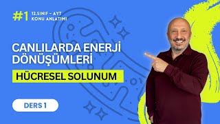 Ayt Biyoloji Hücresel Solunum Konu Anlatımı Ders 1 12. Sınıf Enerji Dönüşümleri