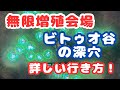 【ゼルダの伝説TotK】ビトゥオ谷の深穴への行き方