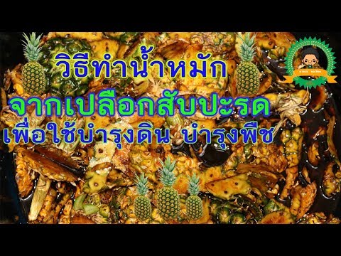 วิธีทำน้ำหมักเปลือกสับปะรด