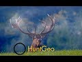 Red stag hunt in Austria - Hirsch Jagd in Österreich