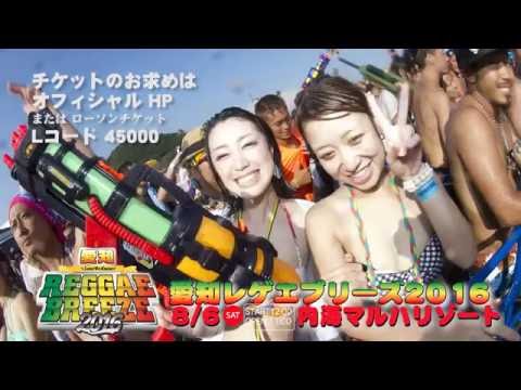愛知レゲエ・ブリーズ 2016 PV