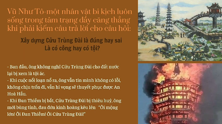 So sánh nhie61o ảnh gia và vũ như tô