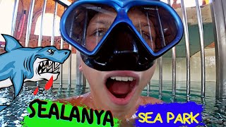 VLOG: ТУРЕЦКИЙ МОРСКОЙ ПАРК SEALANYA - Я ТАКОГО ЕЩЕ НЕ ВИДЕЛ! Плаваю с акулами!