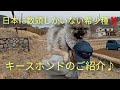 【キースホンド】日本に数頭しかいない希少種 キースホンドのご紹介♪【希少種】