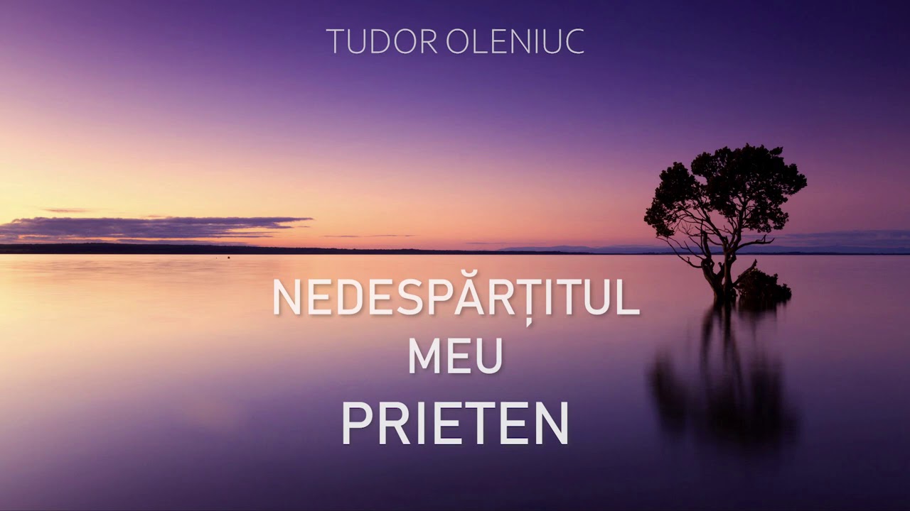Tudor Oleniuc - Nedespărțitul meu Prieten  (Official Audio)