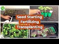 Plant Propagation - Seed Starting, Fertilizer For Seedlings, Transplanting Plants Masterclass!