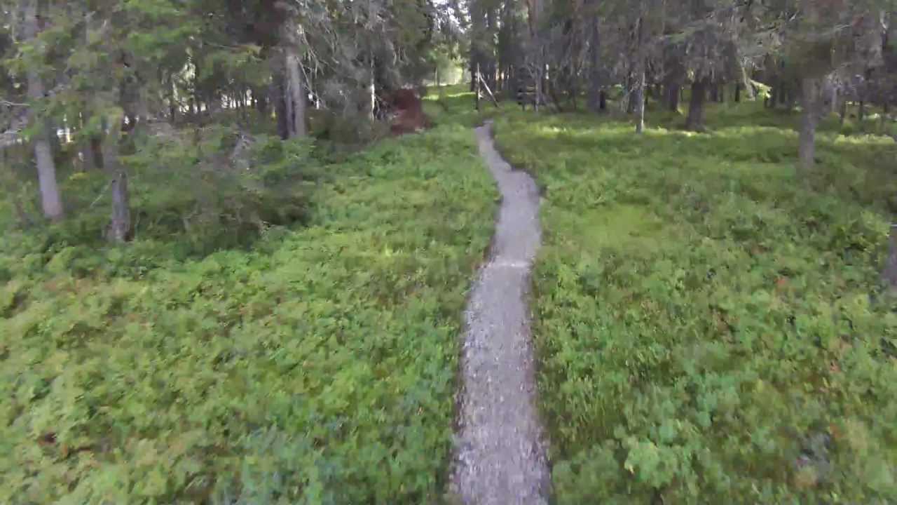 Pytkynharju-Vattukuru