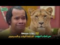 ١٠ حلقات مجمعة من شباب البومب   الحلقة    الواحد والسبعون