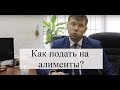 Взыскание алиментов на детей и супругу: как подать на алименты в суд