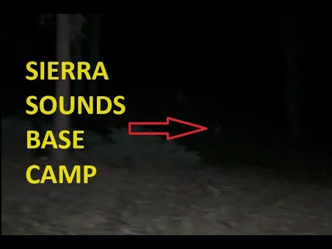 Camp near Sierra Sounds is weird