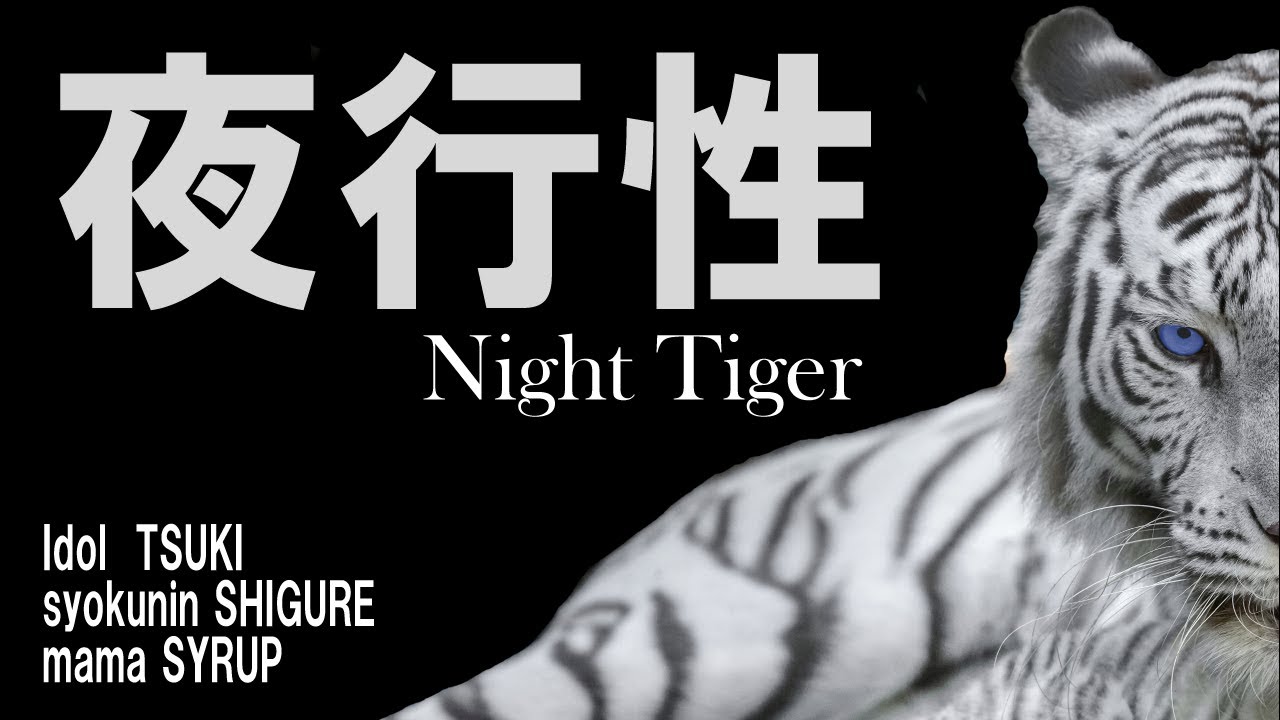 「8月17日」「闇の中でも自由自在」Night Tigerライブ配信