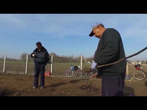 Video: Drvo đurđevka (26 Fotografija): Opis Galezije, Sadnja I Briga Za Nju. Khalesia Carolina, Planinske I Druge Sorte U Vrtnom Pejzažnom Dizajnu