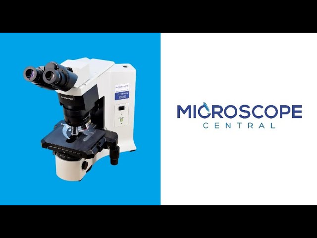 Olympus BX45 & BX46 Microscope Comparison - YouTube