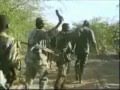 إسود الجيش السوداني فرقة الصحوة إسود الجيش السوداني فرقة الصحوة