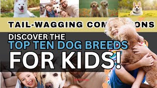 Top 10 Dog Best Breeds for Kids by Pets Pine 138 views 4 months ago 2 minutes, 55 seconds