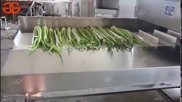 Celery Cutting Machine Video
