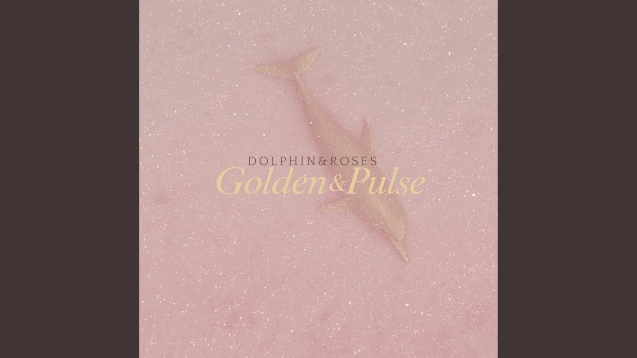 Amber Midnight Pulse