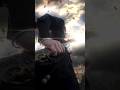 Pétalos, Tormenta o Fuego... ¿Cuál fue tu efecto visual (VFX) favorito? 🎬