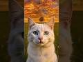 Beautiful White Cat Cute & Realistic Cat Video#cat#cuteCat#viralcat#short