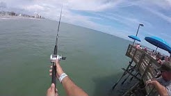 Garden City Pier Fishing Tips Garden Club